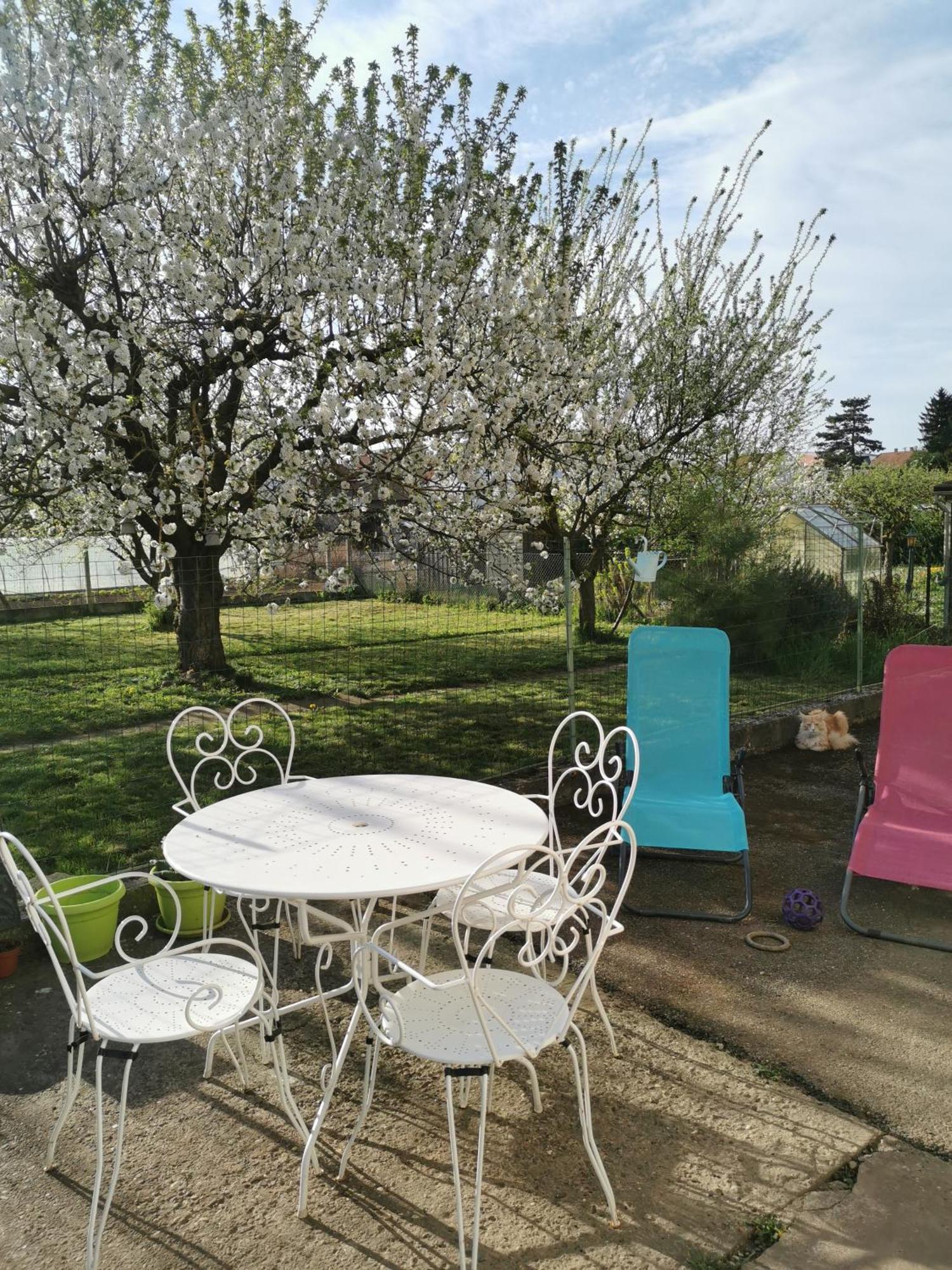 Maison Les 3 Roses Wolfisheim Luaran gambar